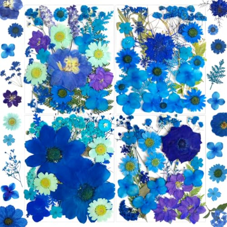 94Pcs Dried Pressed Flowers fo - Dried Flower Bulk recensie en prijs