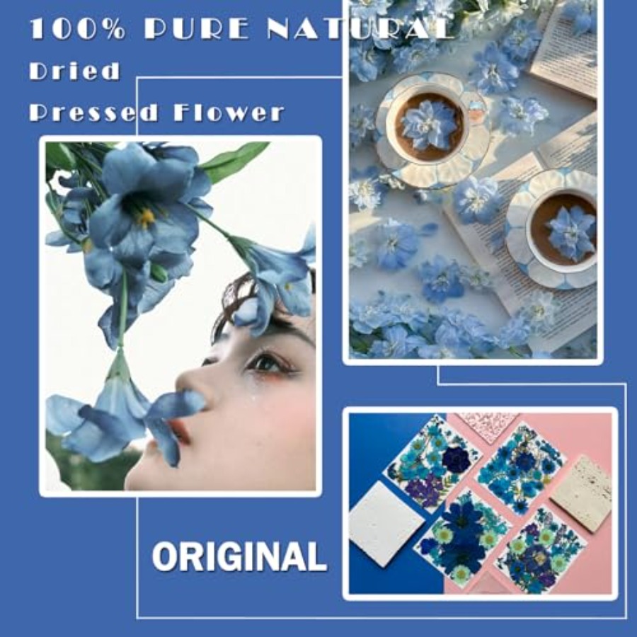 94Pcs Dried Pressed Flowers fo - Dried Flower Bulk recensie en prijs