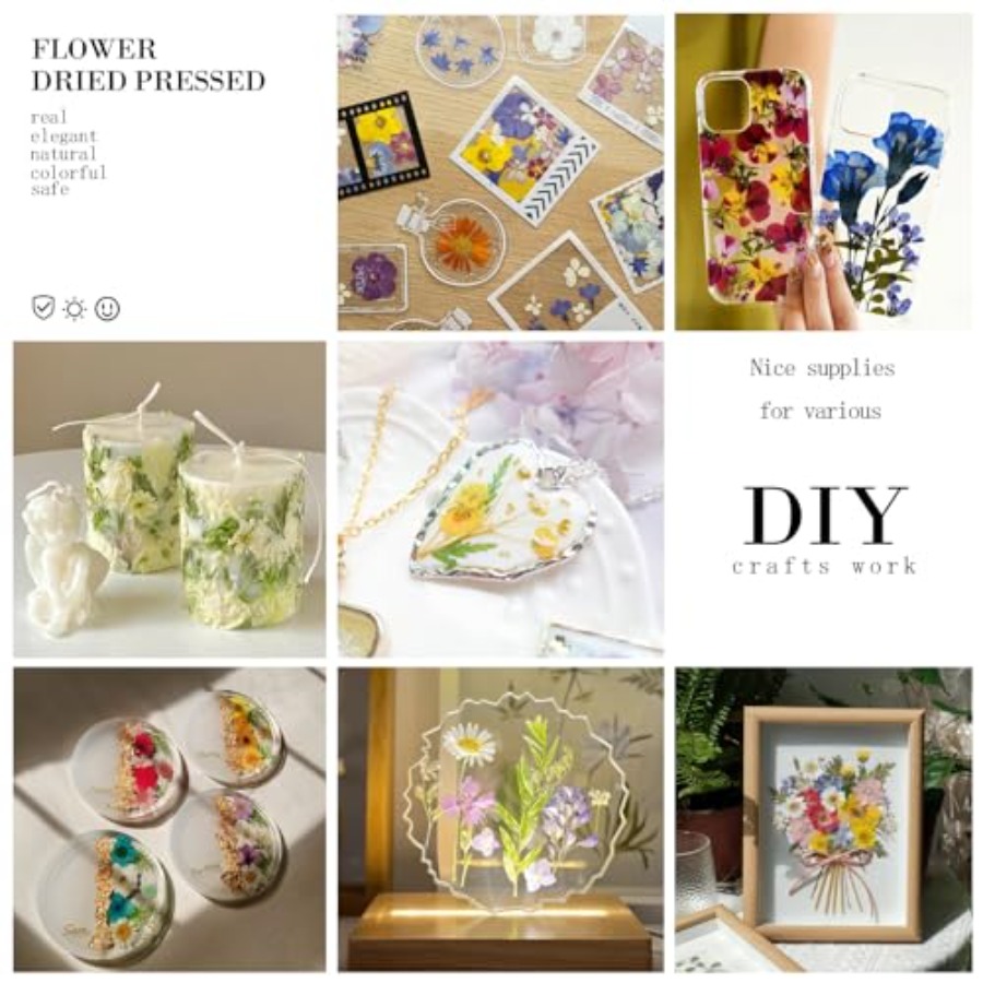 94Pcs Dried Pressed Flowers fo - Dried Flower Bulk recensie en prijs