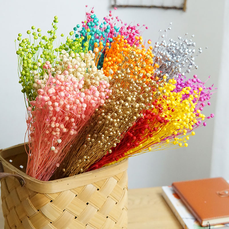 35g/Preserved Ormosia Hosiei N - Dried Flower Bulk recensie en prijs