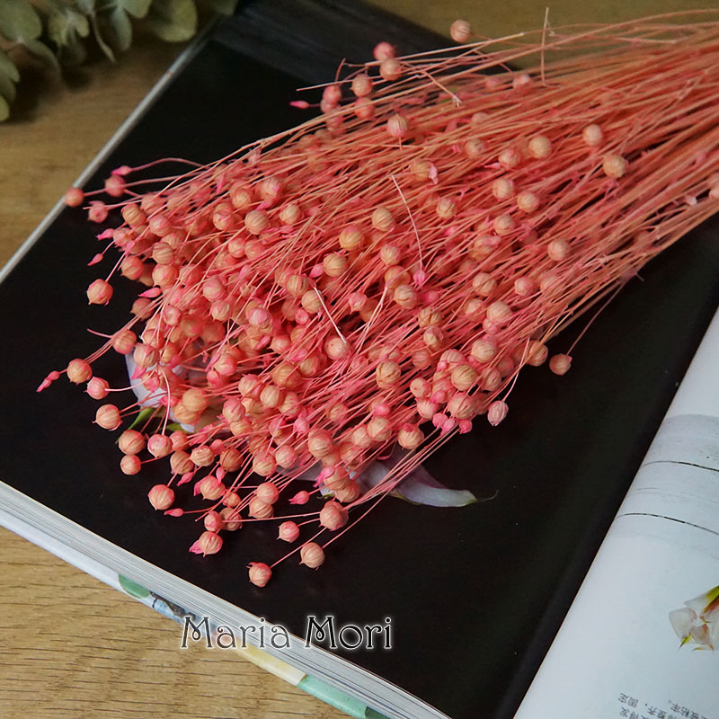 35g/Preserved Ormosia Hosiei N - Dried Flower Bulk recensie en prijs