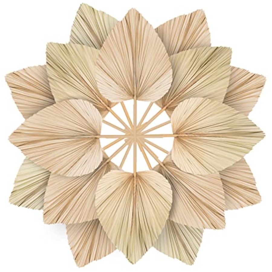 10 Large Bulk Boho Dried Palm  - Dried Flower Bulk recensie en prijs