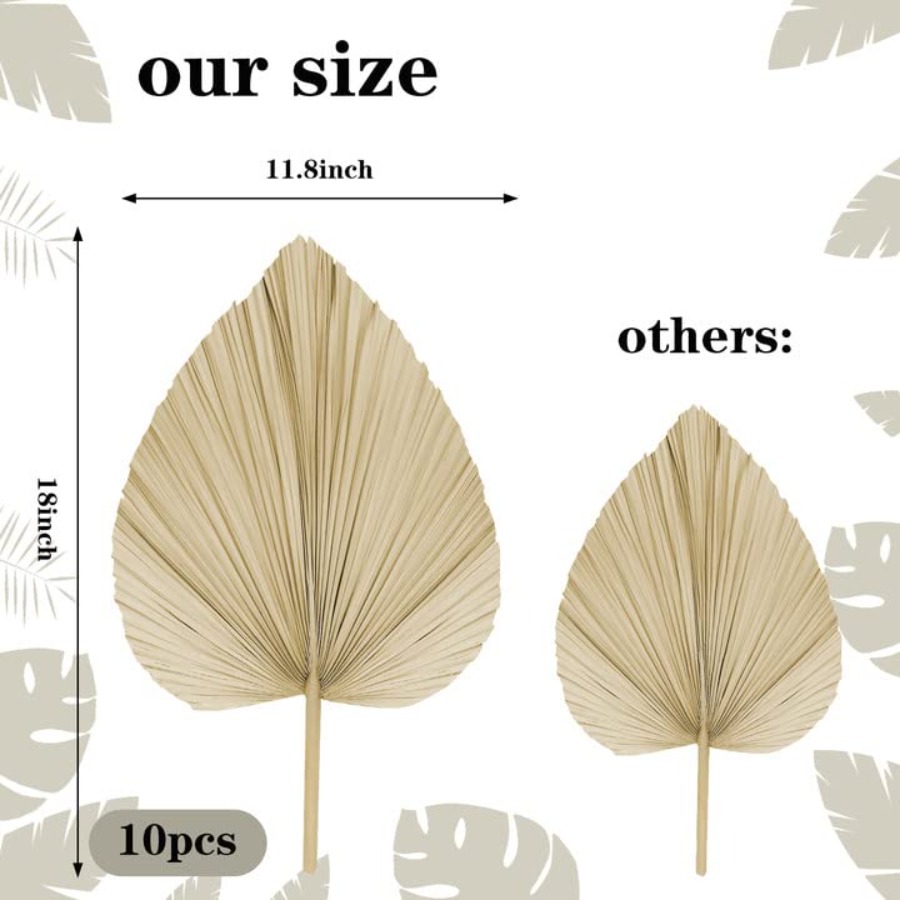10 Large Bulk Boho Dried Palm  - Dried Flower Bulk recensie en prijs