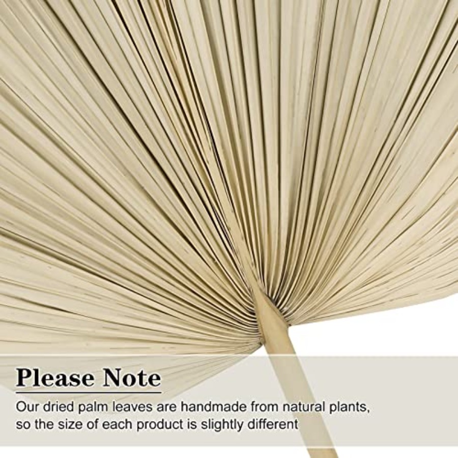 10 Large Bulk Boho Dried Palm  - Dried Flower Bulk recensie en prijs