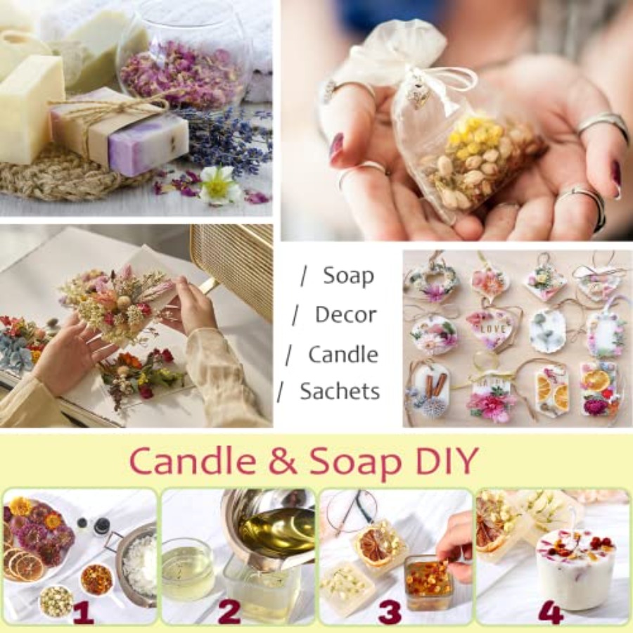 Latest] Pack Dried Flowers for - Dried Flower Bulk recensie en prijs