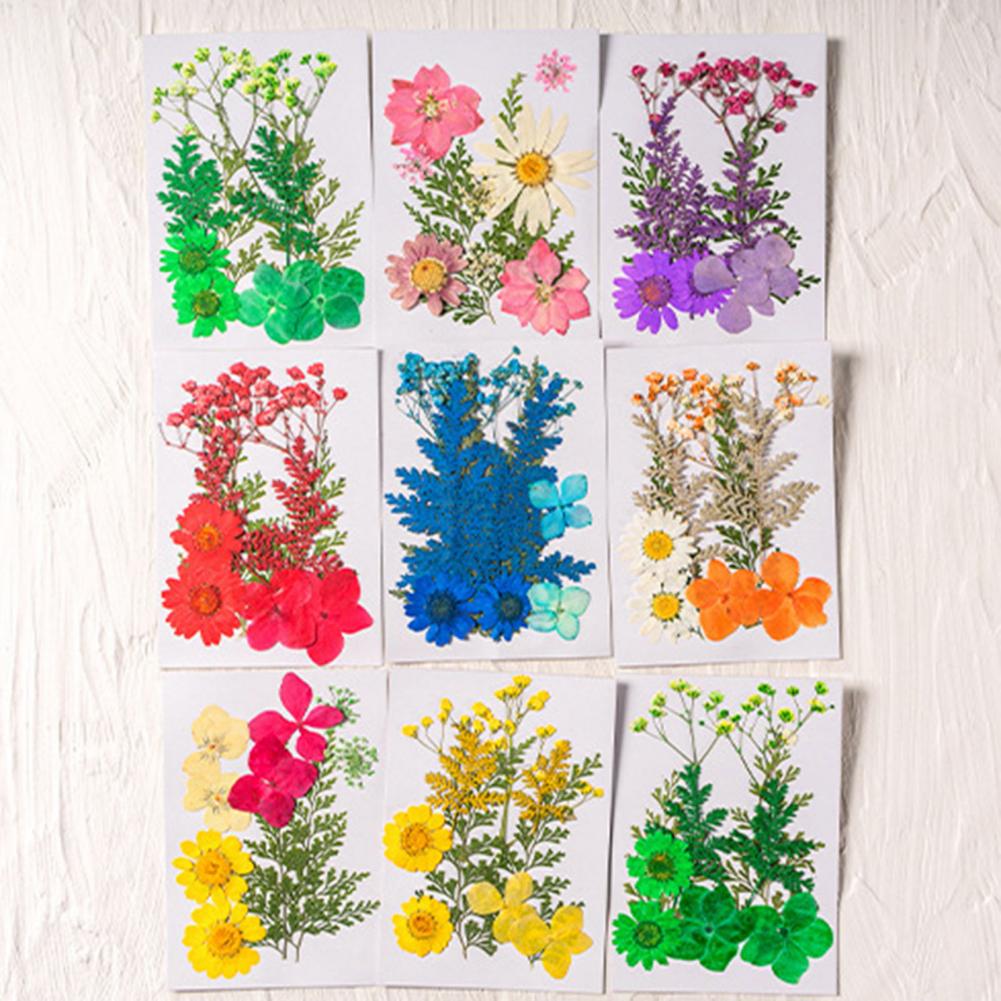 Dried Flower Bouquet Premium D - Dried Flower Bulk recensie en prijs