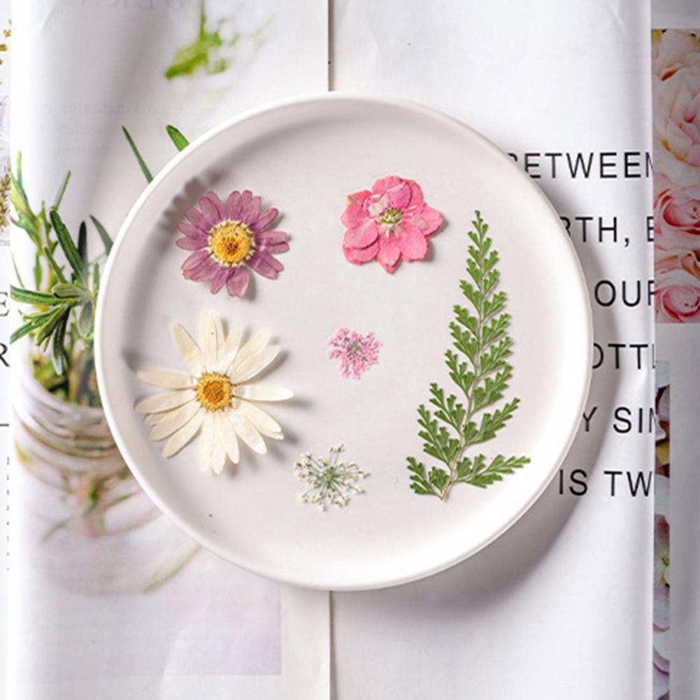 Dried Flower Bouquet Premium D - Dried Flower Bulk recensie en prijs