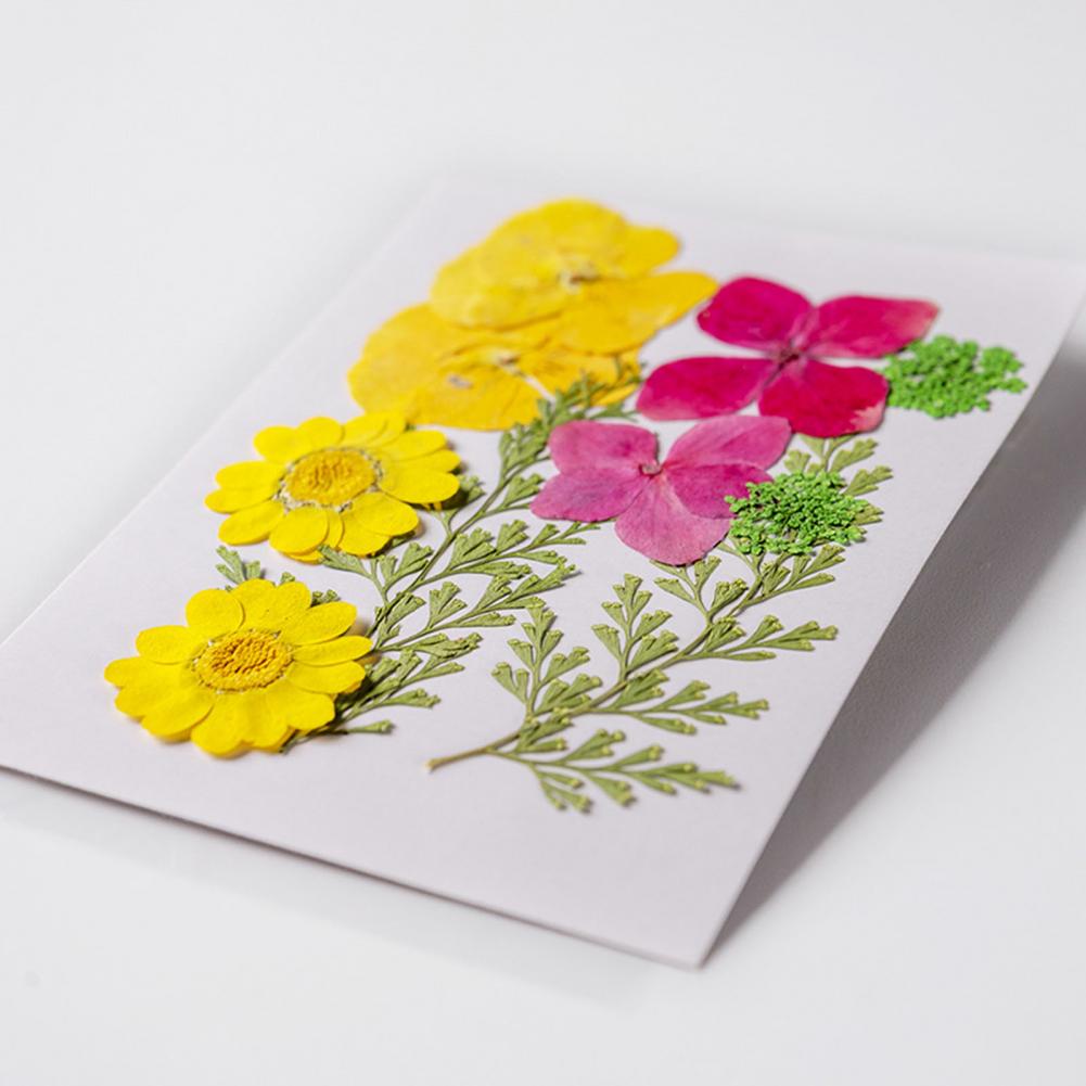 Dried Flower Bouquet Premium D - Dried Flower Bulk recensie en prijs
