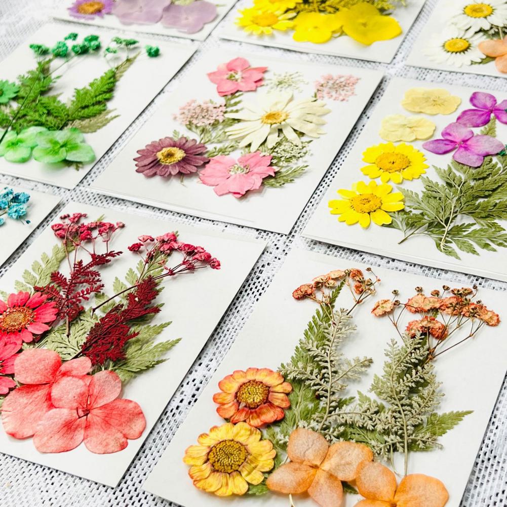 Dried Flower Bouquet Premium D - Dried Flower Bulk recensie en prijs