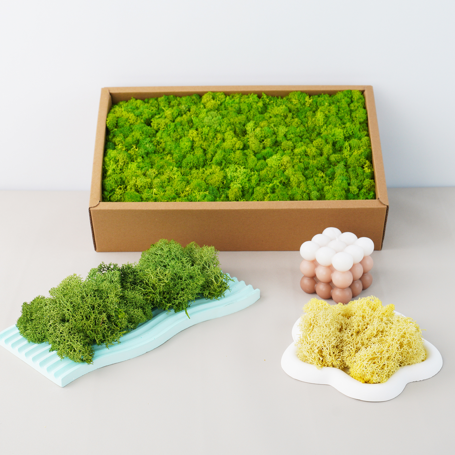 20g Artificial Green Plants Et - Terrarium Moss Art recensie en prijs