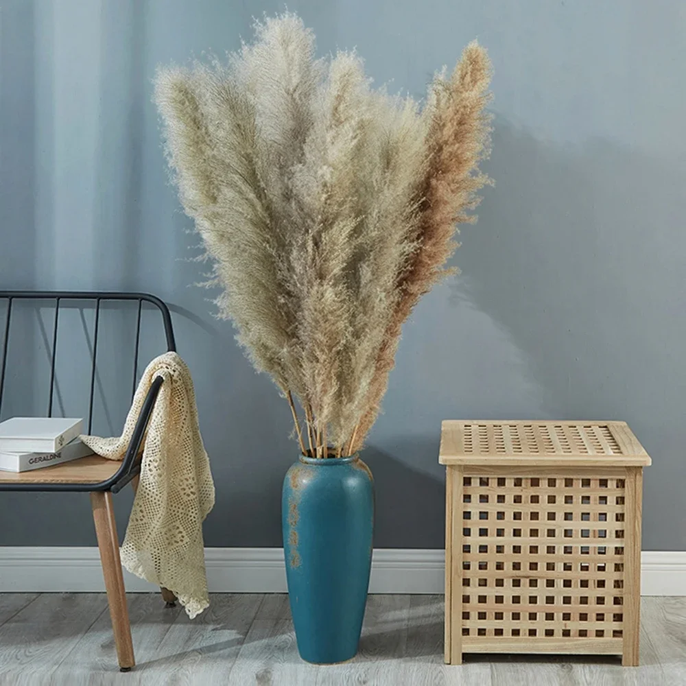 120cm - 130cm Fluffy Large Pam - Dried Flower Bulk recensie en prijs