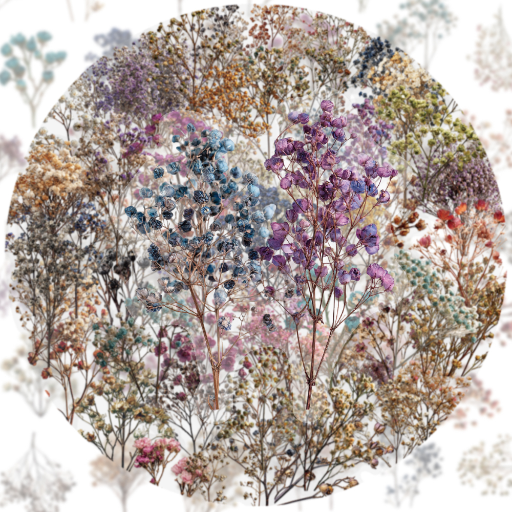 50PCS Retro Color Dried Flower - Dried Flower Bulk recensie en prijs