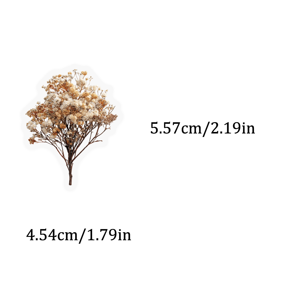 50PCS Retro Color Dried Flower - Dried Flower Bulk recensie en prijs