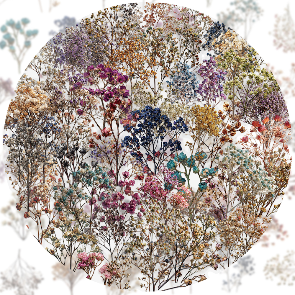 50PCS Retro Color Dried Flower - Dried Flower Bulk recensie en prijs