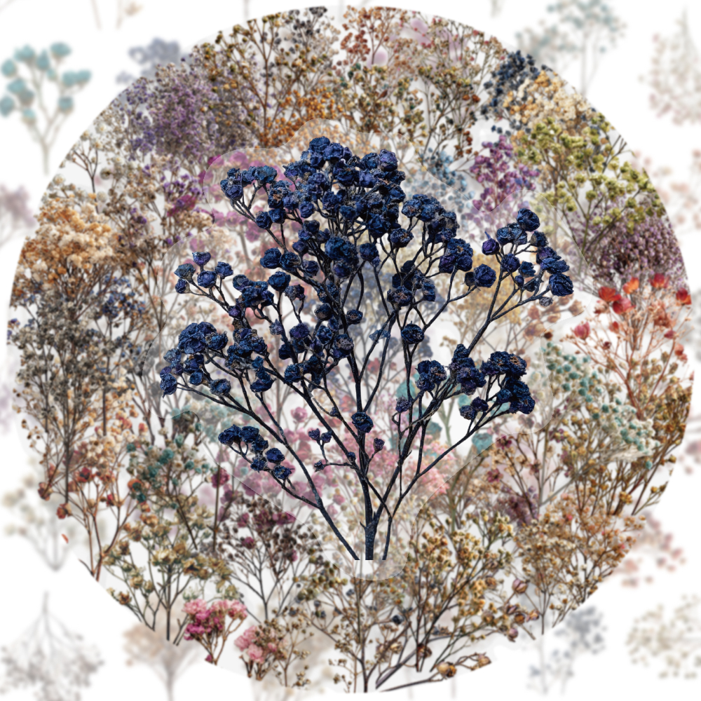 50PCS Retro Color Dried Flower - Dried Flower Bulk recensie en prijs