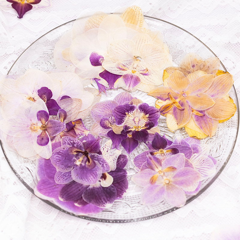 4 Pcs Pressed Dried Phalaenops - Dried Flower Bulk recensie en prijs