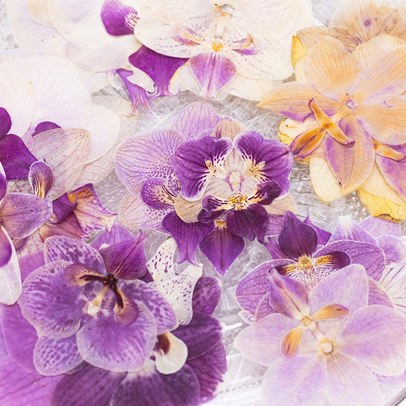 4 Pcs Pressed Dried Phalaenops - Dried Flower Bulk recensie en prijs