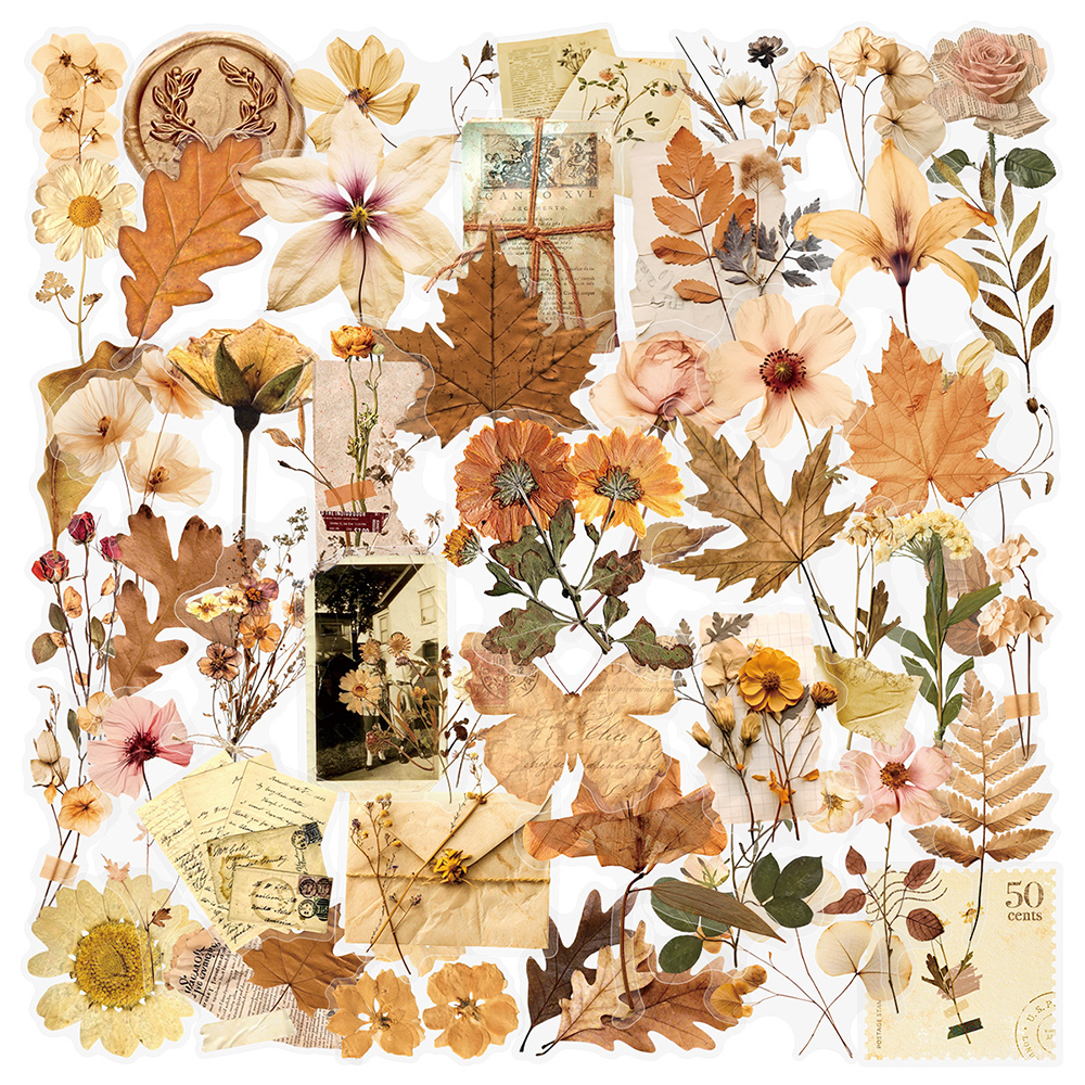 10/30/50pcs Transparent Dried  - Dried Flower Bulk recensie en prijs