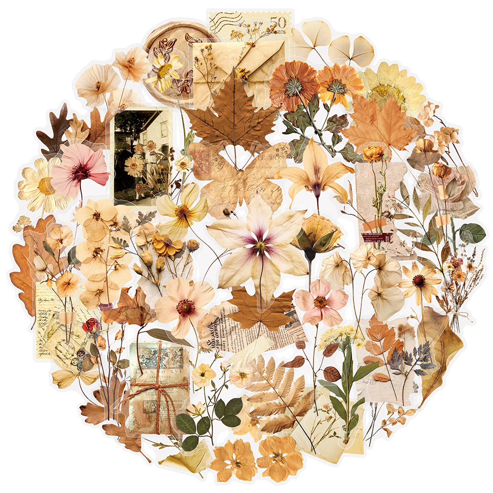 10/30/50pcs Transparent Dried  - Dried Flower Bulk recensie en prijs