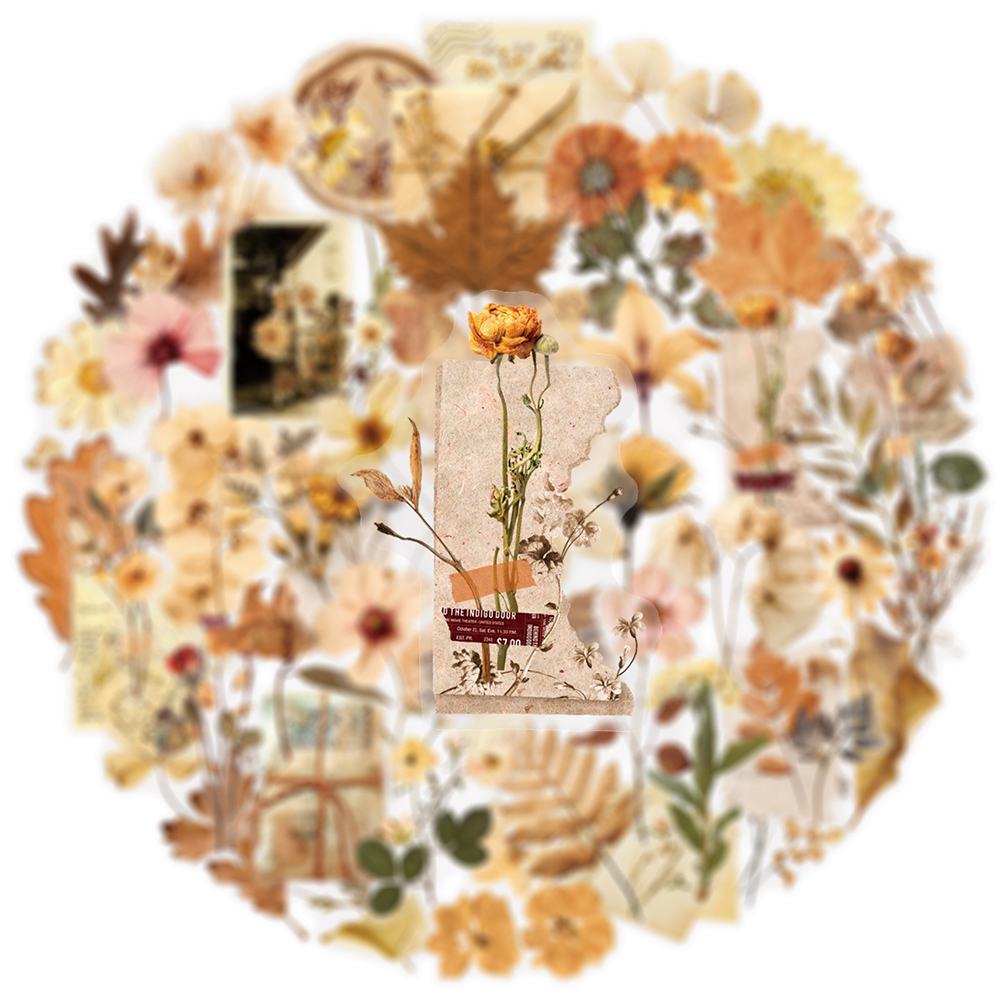 10/30/50pcs Transparent Dried  - Dried Flower Bulk recensie en prijs