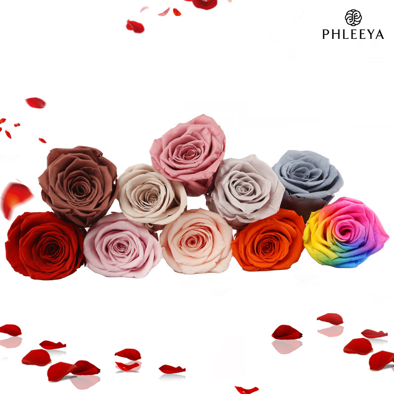 6pcs Eternal Rose Flower Heads - Dried Flower Bulk recensie en prijs