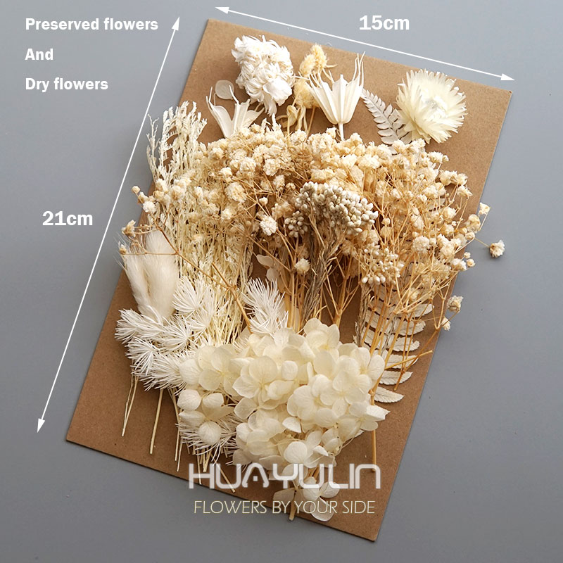 1 Pack Artificial Plants Dried - Dried Flower Bulk recensie en prijs