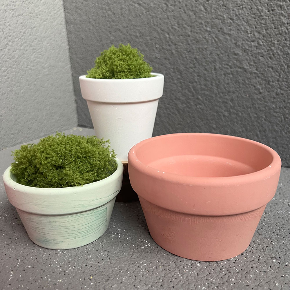 Large Concrete Plant Pot Silic - Coaster Mold Round recensie en prijs