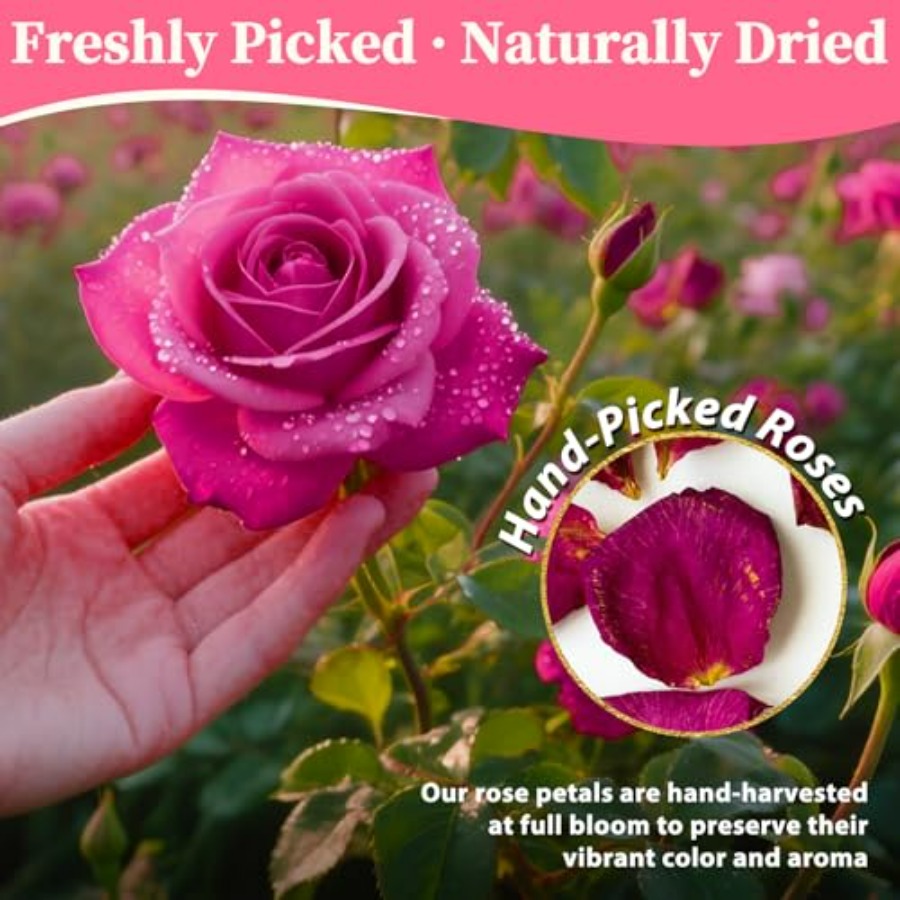 Dried Rose Petals Bulk 5oz Nat - Dried Flower Bulk recensie en prijs